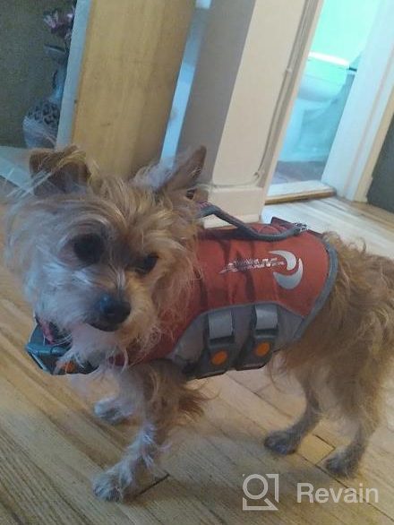 img 1 attached to ThinkPet Dog Life Jacket, Reflective Lifesaver With Rescue Handle, Adjustable Floating Vest,High Buoyancy Aid Dog Saver Small Purple review by James Wilson