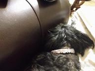 img 1 attached to Personalized XS Pink Dog Collar With Rhinestone Letters - Perfect For Small & Medium Dogs! review by David Strawn