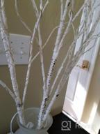 img 1 attached to Lighted Branches With 150 Warm White And Multicolor Fairy Lights, 8 Functions, 32 Inches - Perfect For Room And Christmas Holiday Decorations, By Hairui review by Erin Lee