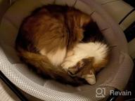 img 1 attached to Noyal Cat Hammock Bed: Elevated, Breathable, And Detachable For Indoor And Outdoor Kitty Comfort review by Patrick Myers