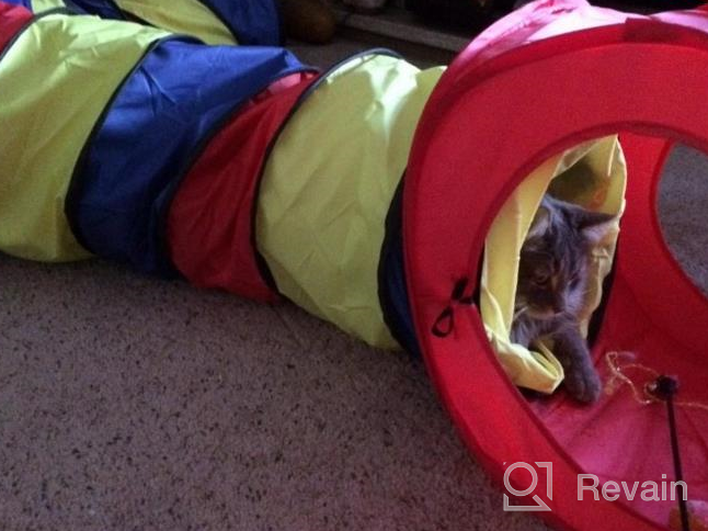 img 1 attached to Pop-Up Play Tunnel For Cats In Blue With Rainbow Design - Collapsible Cubes, Pack Of 1 review by Lacueva Tranquillity