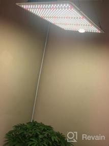 img 8 attached to Phlizon 2022 Advanced PL-1000 Светодиодная лампа для выращивания растений со светодиодами Samsung LM281B и фирменным драйвером Регулируемая гирляндная цепь с регулируемой яркостью Полноспектральная лампа для выращивания комнатных растений Светодиодная лампа для выращивания растений с охватом 2X4 фута