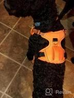 img 1 attached to 🐾 Premium No-Pull Dog Harness for Large Dogs with Handle, Reflective & Adjustable - Ideal for Medium to Large Breeds review by Jeff Shapiro
