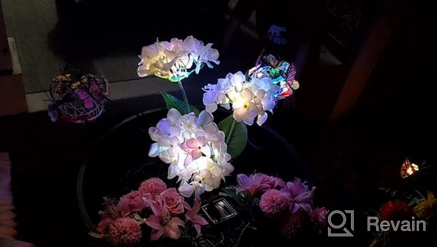 img 1 attached to 3 Pack Solar Garden Lights 2022 Version – Outdoor Colorful Hydrangea Flower Decoration, Two Lighting Modes & Enlarged Solar Panel - TONULAX review by Francis Heart