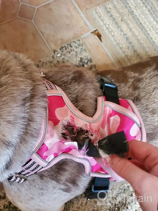 img 1 attached to 🐾 Premium No-Pull Dog Harness for Large Dogs with Handle, Reflective & Adjustable - Ideal for Medium to Large Breeds review by Christopher Hicks