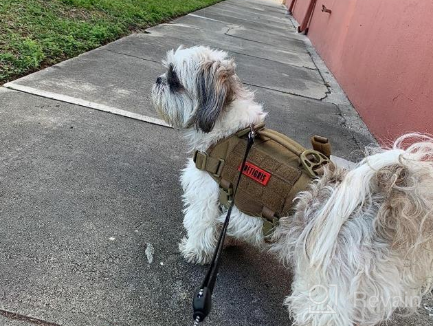 img 1 attached to Tactical Military Dog Harness With Vertical Handle And Durability For Small Puppies - XS (Neck: 11"-17", Chest: 15"-22") review by Ham Channell