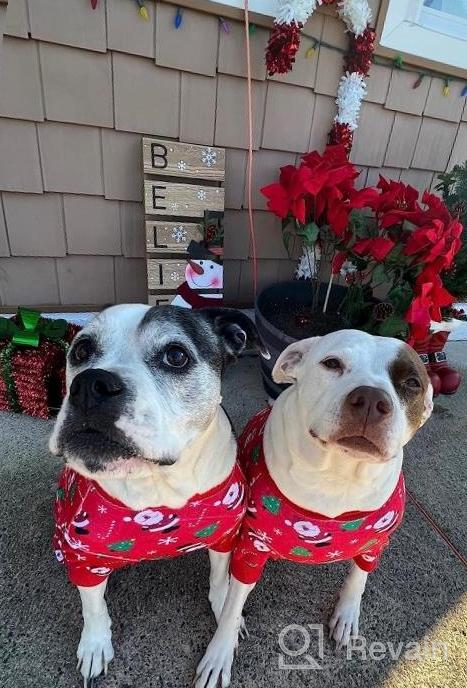 img 1 attached to ❤️ KYEESE Valentine's Day Dog Pajamas: Pink Heart Patterned PJs for Small Dogs - Soft, Stretchable Velvet Onesie for Holiday Comfort review by Evan Martinez