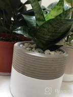 img 1 attached to Set Of 2 POTEY 5 Inch Concrete Succulent Planters With Drainage Holes - Flowerpots For Indoor Plants, Bonsai Containers (Plant NOT Included) review by Richard Alemayehu