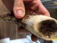 img 1 attached to K9Warehouse Small Elk Antler Dog Chews - Long-Lasting & Odor-Free For Aggressive Chewers, Suitable For Small To Large Dogs (5 To 20 Lbs), Whole Antlers Measuring 4"-5 review by Keith Leach