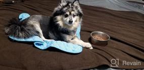 img 8 attached to Охладите свою собаку летом с помощью охлаждающего коврика VeMee - 40 x 28 дюймов, синий.