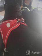 картинка 1 прикреплена к отзыву Joytale Dog Harness Step-In Mesh Vest, 12 Colors, Reflective Padded Harnesses For Small And Medium Dogs, Red Size L. от Jessie Burgos