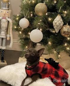 img 7 attached to Пасхальное платье-пачка для собак с тюлем для маленьких собак - KYEESE Puppy Сарафан, чтобы ваш пушистый друг выглядел очаровательно!