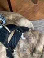 img 1 attached to Heavy Duty Nylon Anti-Escape Martingale Collar For Large Dogs - Professional Training, Daily Use Walking (Large, Sleet Gray) review by Nick Singh