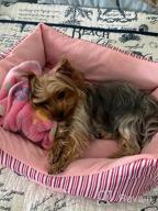 img 1 attached to Cozy TC Fabric Pet Bed For Small Dogs And Cats With Self-Warming Technology - Pink Plush Design By Hollypet review by Alex Tilden