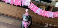 img 1 attached to Make Your Dog'S Birthday Special With GAGILAND Birthday Party Set - Dog Bandana, Hat, Banner & More In Pink With Balloon! review by Louis Alford