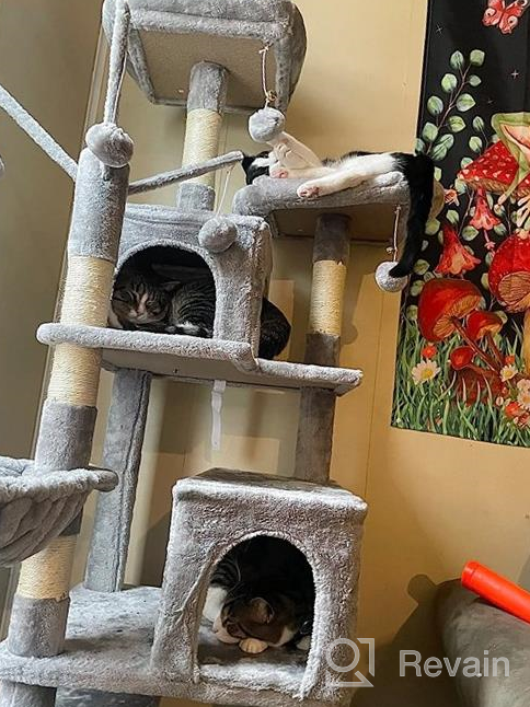 img 1 attached to 67.7In BEWISHOME Multi-Level Cat Tower: Luxurious Plush Perches, Tall Condo & Scratching Posts For Indoor Cats - MMJ54H review by Clay Ijaz