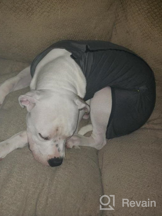 img 1 attached to Breathable Dog Surgical Recovery Suit For Male And Female Dogs - Ideal For Abdominal Wounds And Post-Operation Care, Anti-Licking Cone E Collar Alternative And Dog Vest, By LIANZIMAU review by Terry Paige