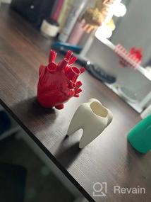 img 5 attached to DRYEN Anatomical Heart Vase, Red Shaped Novelty Flower Vase Resin Pot Desktop Ornament, Creative Sculpture, Mini Shelf Table Desk Planter Home Decor, Gift 11 X 16Cm/4.3X6.3Inch