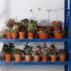 img 2 attached to Set Of 2 Large & Unglazed Terracotta Pots For Succulent & Cactus - Perfect For Indoor Gardens & Bonsai