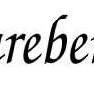 pareberry logo