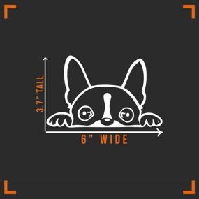 img 1 attached to 🐶 White Boston Terrier Peeking Decal Vinyl Sticker for Car, Truck, Wall, Laptop - 6" x 3