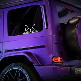 img 3 attached to 🐶 White Boston Terrier Peeking Decal Vinyl Sticker for Car, Truck, Wall, Laptop - 6" x 3