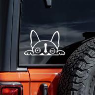 🐶 white boston terrier peeking decal vinyl sticker for car, truck, wall, laptop - 6" x 3 logo