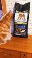 img 3 attached to Dry food for cats Primordial grain-free, with salmon, with tuna 2 kg review by Erzsbet Juhsz ᠌