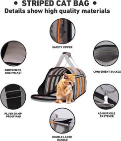 img 3 attached to 🐱 Airline Approved Cat Carrier - Small Medium Pet Carriers for Cats Dogs, Breathable Portable Soft Sided Backpack Carrier for Puppies, Collapsible Outdoor Travel Bag for Pets