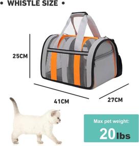 img 1 attached to 🐱 Airline Approved Cat Carrier - Small Medium Pet Carriers for Cats Dogs, Breathable Portable Soft Sided Backpack Carrier for Puppies, Collapsible Outdoor Travel Bag for Pets