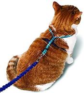 🐾 enhanced petsafe come with me kitty glitter harness and bungee cat leash for larger cats логотип