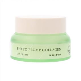 img 4 attached to MIZON Phyto Plump Collagen DAY CREAM, Plant Collagen, Anti Wrinkle, Hydrating, Safe Vegan Formula (50Ml/1.69Oz)