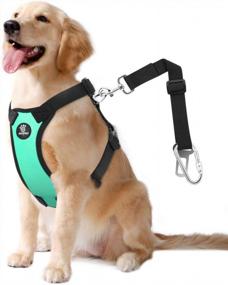 img 4 attached to VavoPaw Dog Vehicle Safety Vest Harness, Adjustable Soft Padded Mesh Car Seat Belt Leash Harness With Travel Strap And Carabiner For Most Cars, Size Large, Lake Blue