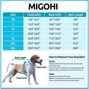 img 2 attached to MIGOHI Reversible Waterproof Reflective Weather Dogs