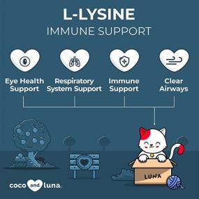 img 2 attached to 🐱 Lysine Cat Supplement for Sneezing, Runny Nose, Immune Support, Eye Function, and Respiratory Health - 4oz/120g Lysine Powder for Cats, Salmon Flavor