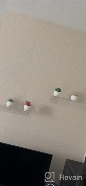 img 1 attached to Bring Home The Beauty Of Lvydec'S Mini-Sized Artificial Succulent Plants In Porcelain Pots - Perfect For Home, Bath, Or Office Decor! review by Isaiah Bower