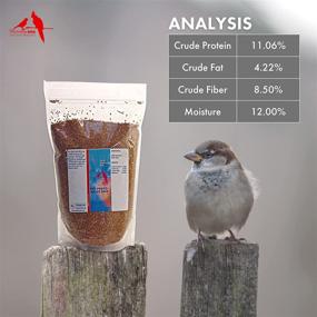 img 2 attached to 🐦 Morning Bird Red Proso Millet Seed: A Nutritious and Delicious Supplement for Healthy Birds, Packed with High Protein, Fat, Fiber, Vitamins, and Minerals