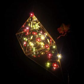 img 3 attached to JASHIKA Fall Harvest Mini Maple String Light, осенние листья 10 футов 40 светодиодов с батарейным питанием и пультом дистанционного управления для украшения дома венок на День Благодарения