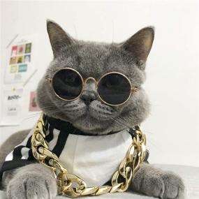 img 3 attached to 🕶️ Legendog Cat Glasses Set: 2pcs Cat Sunglasses with Gold Chain - Fashionable Pet Sunglasses and Adjustable Chain for Cats and Small Dogs