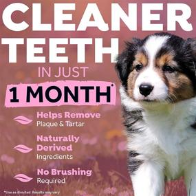 img 1 attached to TropiClean Fresh Breath No Brush Clean Teeth Oral Care Gel For Puppies 2Oz Dental Care Toothpaste Gel Helps Remove Plaque And Tartar And Breath Freshener