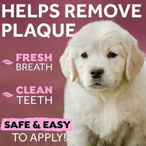 img 3 attached to TropiClean Fresh Breath No Brush Clean Teeth Oral Care Gel For Puppies 2Oz Dental Care Toothpaste Gel Helps Remove Plaque And Tartar And Breath Freshener