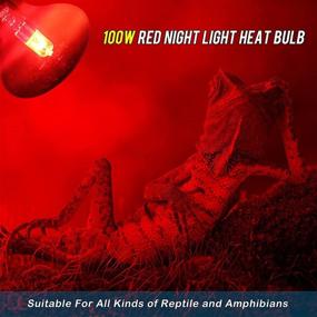 img 2 attached to 🦎 HANJION 2-Pack 100W Reptile Heat Lamp Bulb with UVA Infrared Basking, Red Glass Heat Bulbs for Reptiles & Amphibians, Bearded Dragon, Lizard, Tortoise, Hedgehogs