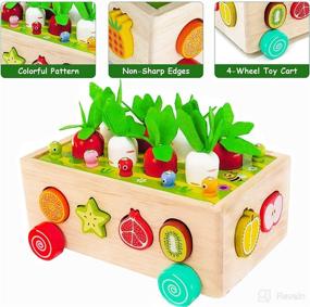 img 2 attached to 🥕 Montessori Preschool Learning Toys for Toddlers, Educational Wooden Toys for 2-4 Year Old Boys and Girls - Birthday Gifts, Sorting & Counting Puzzle Game Carrots Harvest Fun