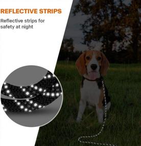 img 2 attached to Taglory Long Leash For Dog Training, 30 FT Reflective Nylon Rope Lead, Check Cord With Comfortable Padded Handle For Large Medium Small Dogs Walking, Camping, Black