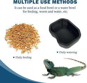 img 2 attached to 🦎 3-Piece Set of BINANO Reptile Feeding Bowls - Non-Slip Plastic Water Dish & Worm Feeder for Lizards, Turtles, Bearded Dragons & Leopard Geckos (Black)