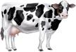 cow themed party decoration: jointed cow accessory (1 piece) logo