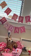 img 1 attached to Make Your Dog'S Birthday Special With GAGILAND Birthday Party Set - Dog Bandana, Hat, Banner & More In Pink With Balloon! review by Nicholas Suave