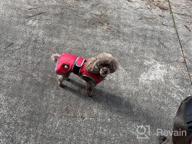 img 1 attached to Keep Your Dog Warm And Visible In The Cold With MIGOHI'S Waterproof And Windproof Dog Coat review by Aaron Ethridge