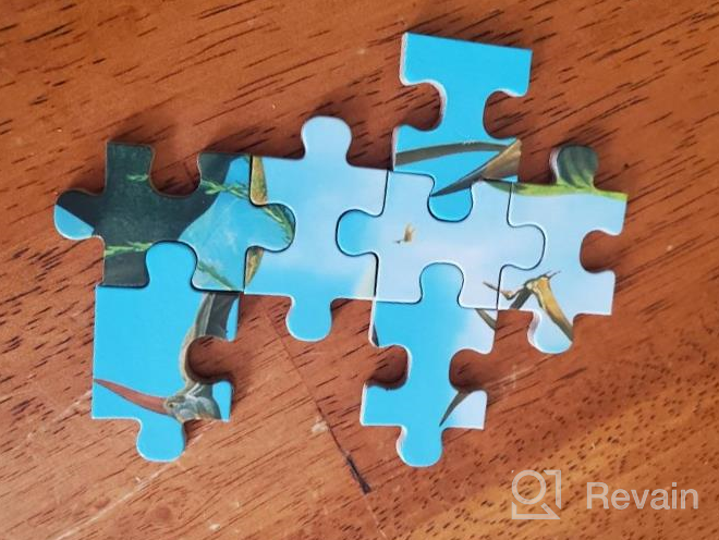 img 1 attached to 2 Pack Wooden Dinosaur Puzzle - 60 Pieces For Kids Ages 3-12 | Perfect Boys & Girls Gift! review by Major Genesis