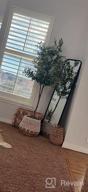 img 1 attached to Add A Touch Of Nature With VIAGDO'S 4.6Ft Artificial Olive Tree - Perfect For Modern Home Decor! review by Matt Lewis
